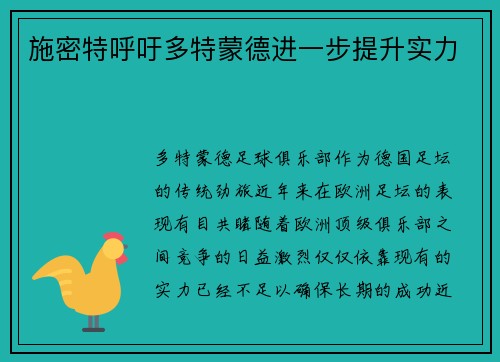 施密特呼吁多特蒙德进一步提升实力